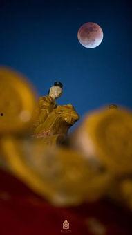 网红月亮吃瓜,瓜田里的美食探险记